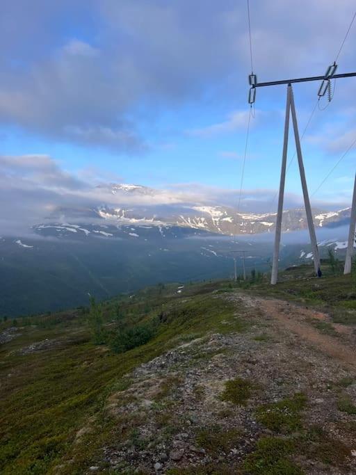 Tromso'S Best Location? City & Nature 5 Mins Away. Buitenkant foto